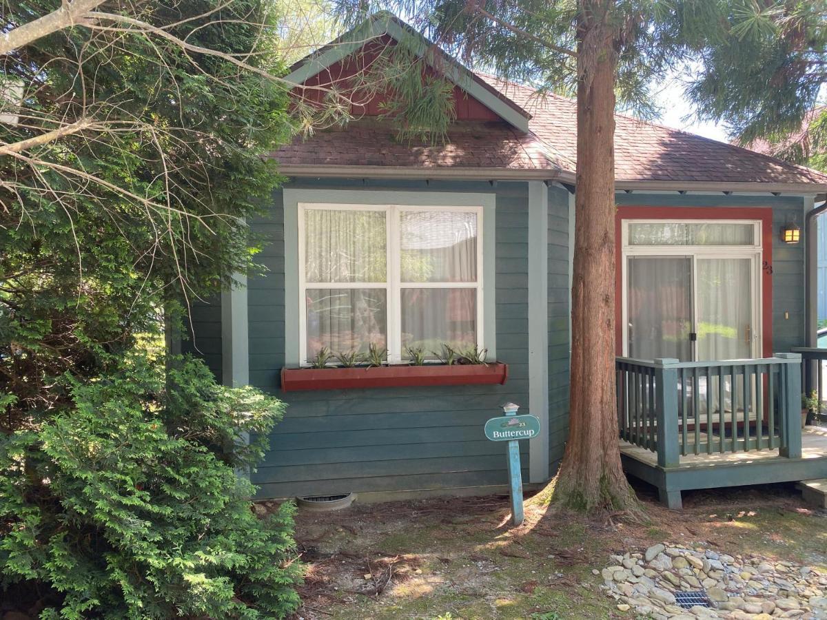 Buttercup Cottage Asheville Eksteriør billede