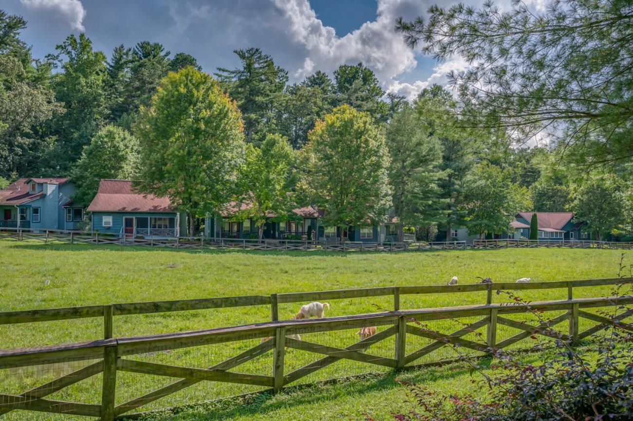 Buttercup Cottage Asheville Eksteriør billede