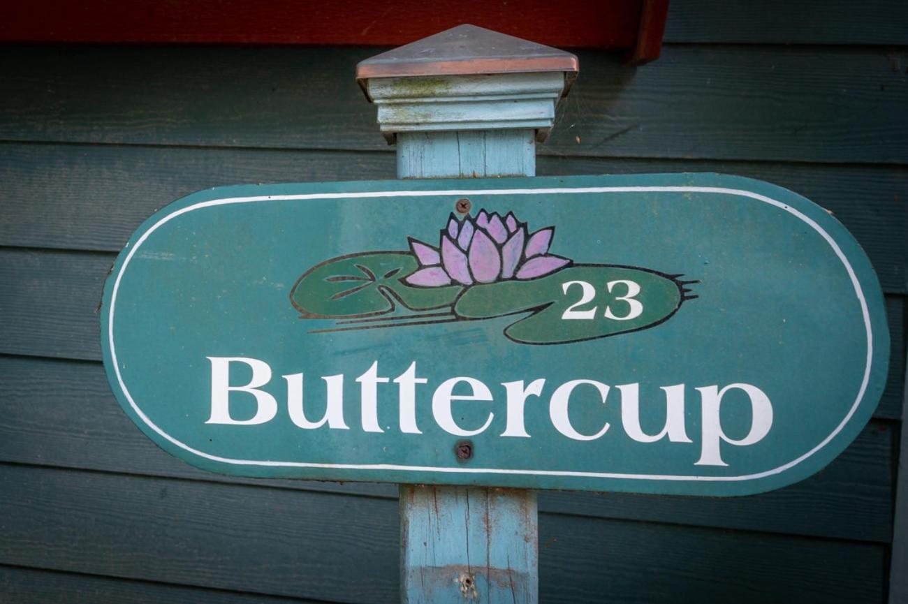 Buttercup Cottage Asheville Eksteriør billede
