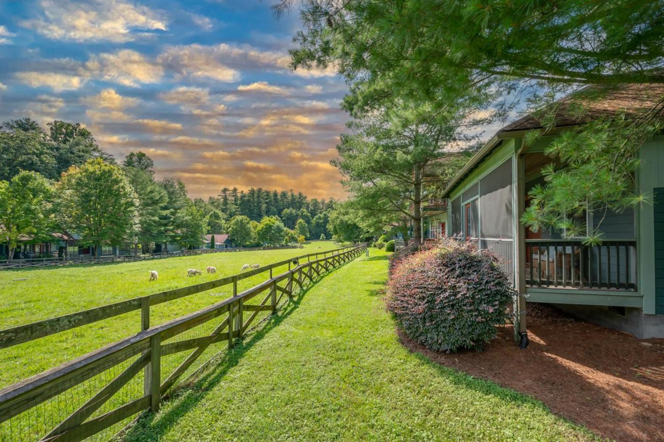 Buttercup Cottage Asheville Eksteriør billede